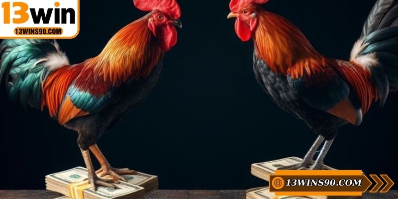Điểm qua các kèo cược đá gà 13WIN đáng tham gia