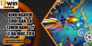Kinh Nghiệm Chơi Bắn Cá 13win Nâng Tỷ Lệ Hạ Mục Tiêu