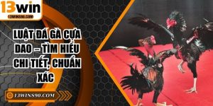 Luật Đá Gà Cựa Dao – Tìm Hiểu Chi Tiết, Chuẩn Xác 